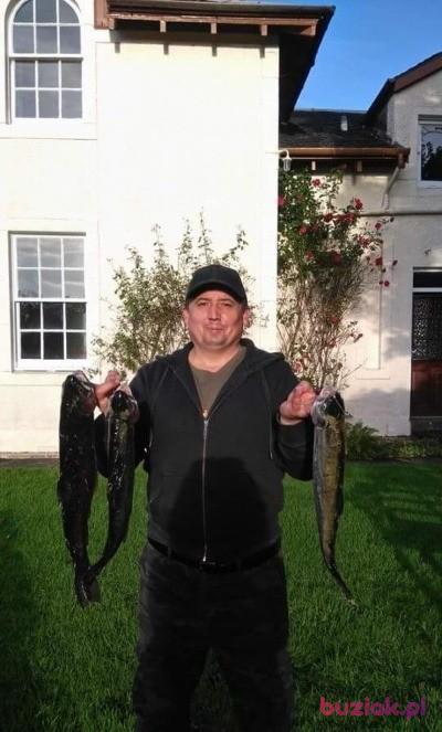Jarosław, Male, 48, Częstochowa, Polska, Photo: 5