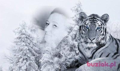 KAMILA, Female, 46, Łódź, Polska, Photo: 7