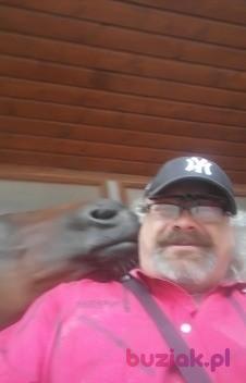 Martin, Male, 51, Brwinów, Polska, Photo: 3