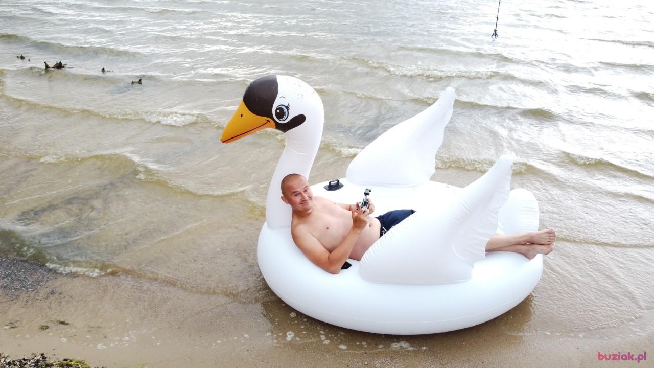 Michał, Mężczyzna, 37, Zgierz, Polska, Zdjęcie: 563