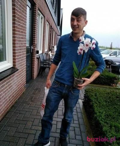 Sierhey Bubka, Mężczyzna, 37, Holandia, Zdjęcie: 3