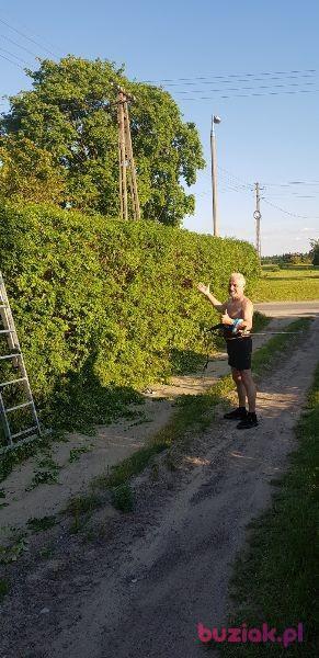 PIOTR, Male, 67, Bydgoszcz, Polska, Photo: 6