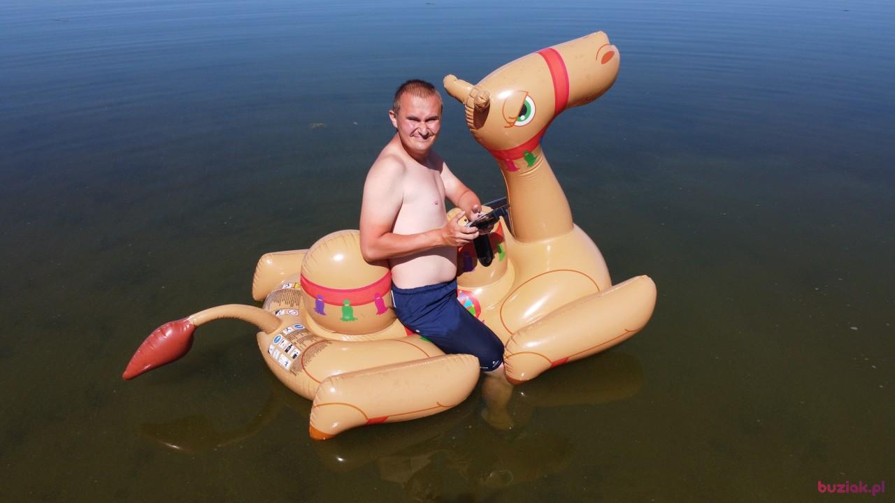 Michał, Mężczyzna, 37, Zgierz, Polska, Zdjęcie: 471