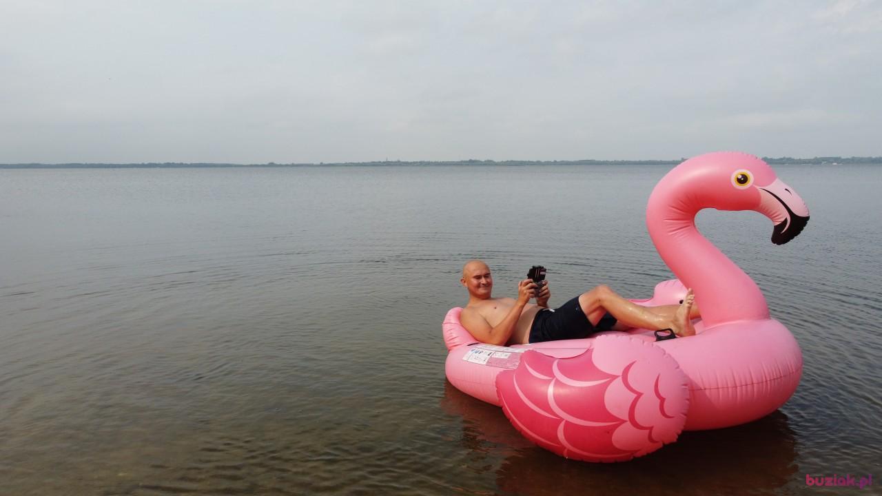 Michał, Mężczyzna, 37, Zgierz, Polska, Zdjęcie: 690