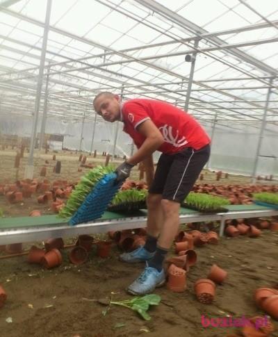 Mariusz, Mężczyzna, 38, Rotterdam, Holandia, Zdjęcie: 3