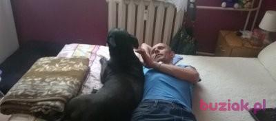 jacek4480, Mężczyzna, 52, Gdańsk, Polska, Zdjęcie: 2