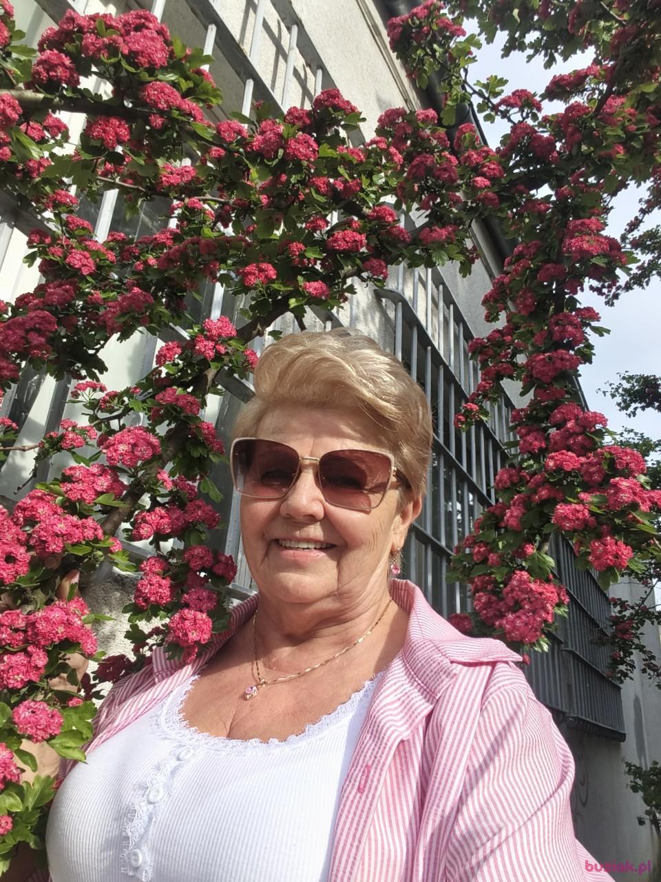 Aga, Female, 65, Ostrów Wielkopolski, Polska, Photo: 2