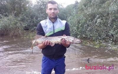 Damian, Male, 40, Andrychów, Polska, Photo: 2