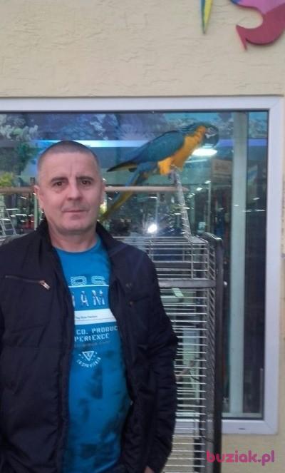 Zbigniew, Male, 56, Gliwice, Polska, Photo: 8