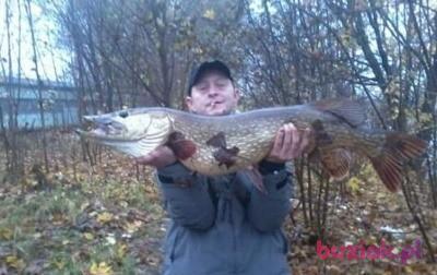 Dziara, Male, 47, Bydgoszcz, Polska, Photo: 4