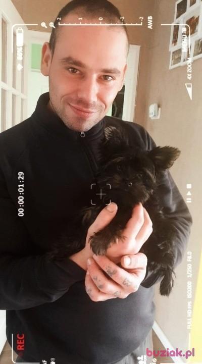 patryk, Male, 39, Zwolle, Holandia, Photo: 3