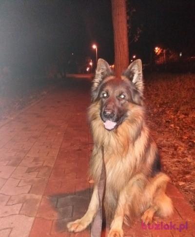 Andrzej, Mężczyzna, 57, Legionowo, Polska, Zdjęcie: 7