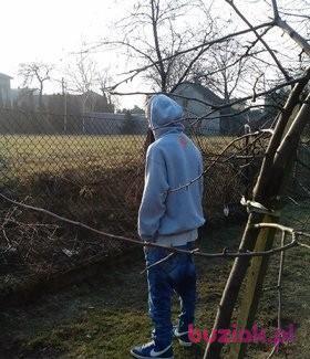 tomek, Male, 31, Bielsko-Biała, Polska, Photo: 3