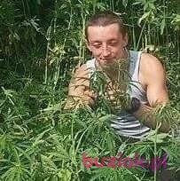 Daniel, Male, 34, Holandia, Photo: 1
