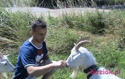 Hubert, Male, 45, Szczawno Zdrój, Polska, Photo: 3