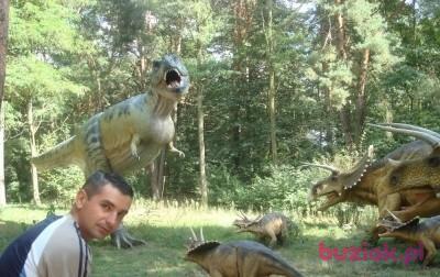 Marcin, Mężczyzna, 45, Radziejów, Polska, Zdjęcie: 2