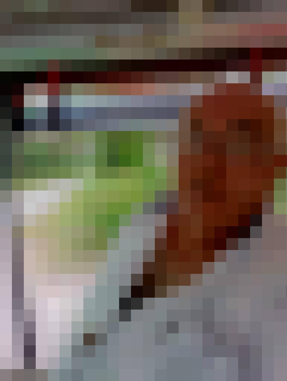 Karl, Male, 72, Saarbrucken, Niemcy, Photo: 12