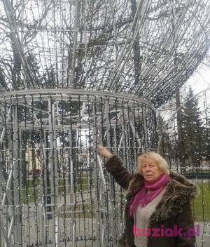 danuta, Female, 79, Tomaszów Mazowiecki, Polska, Photo: 2