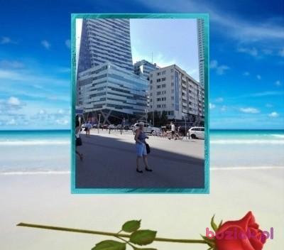 ewa, Kobieta, 75, Warszawa, Polska, Zdjęcie: 2