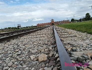 MarioFCB, Male, 36, Oss, Holandia, Photo: 5