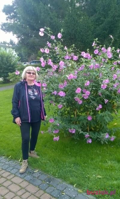Jolanta, Kobieta, 70, Pabianice, Polska, Zdjęcie: 5