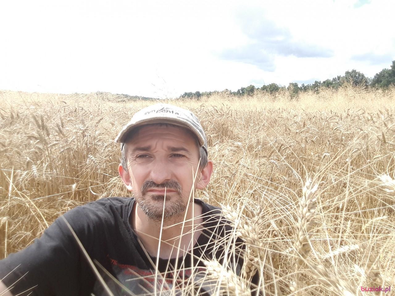 Paweł, Mężczyzna, 44, Jawor, Polska, Zdjęcie: 5
