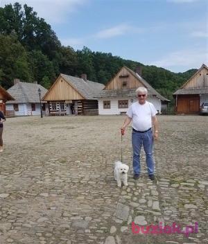 Jędrek, Male, 67, Wejherowo, Polska, Photo: 3