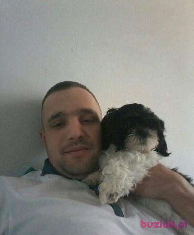 Dawid , Male, 39, Niemcy, Photo: 9