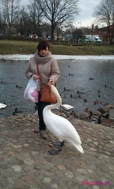 ania46, Female, 59, Ełk, Polska, Photo: 2