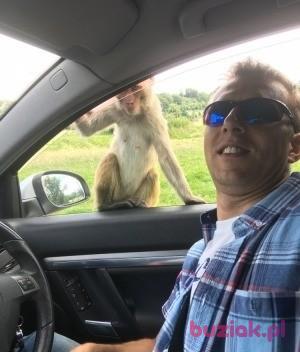 Piotr, Male, 48, Wielka Brytania, Photo: 2