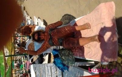 DOROTA, Kobieta, 61, Wrocław, Polska, Zdjęcie: 2