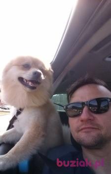 jaco82, Male, 44, Haarlem, Holandia, Photo: 3