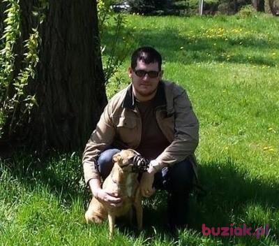 Karol, Male, 32, Sosnowiec, Polska, Photo: 3