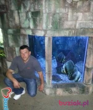 robert, Male, 50, Boston, Wielka Brytania, Photo: 6