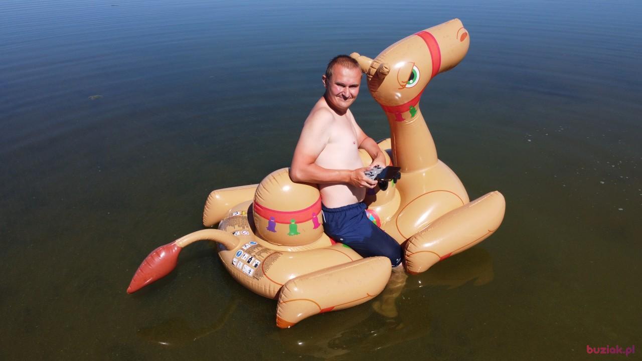 Michał, Mężczyzna, 37, Zgierz, Polska, Zdjęcie: 469