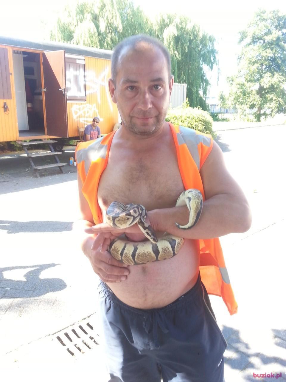 Zbigniew, Male, 59, Elbląg, Polska, Photo: 4