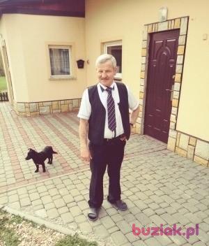Augustynjanowiak, Male, 70, Nowy Targ, Polska, Photo: 3