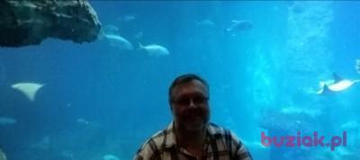 mikolaj1962, Male, 63, Bolesławiec, Polska, Photo: 2