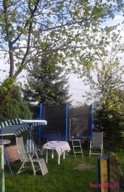 jacek, Male, 47, Malbork, Polska, Photo: 2