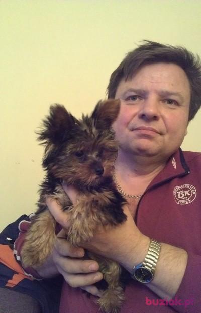 henryk banasiak, Mężczyzna, 66, Ozorków, Polska, Zdjęcie: 1
