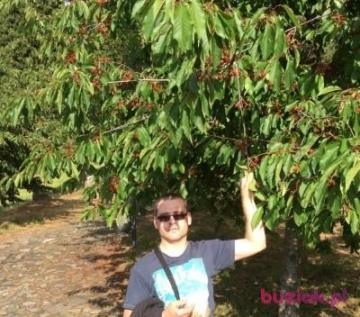Gniewosz, Mężczyzna, 39, Bartoszyce, Polska, Zdjęcie: 2