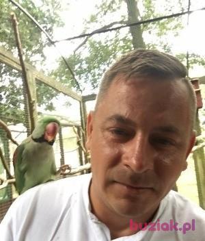 aleksanderhot2, Male, 43, Wielka Brytania, Photo: 2