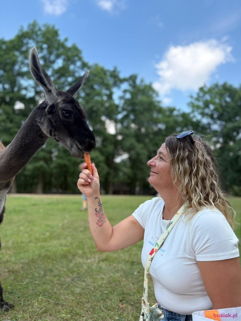 Anna, Kobieta, 49, Westminster, Wielka Brytania, Zdjęcie: 1