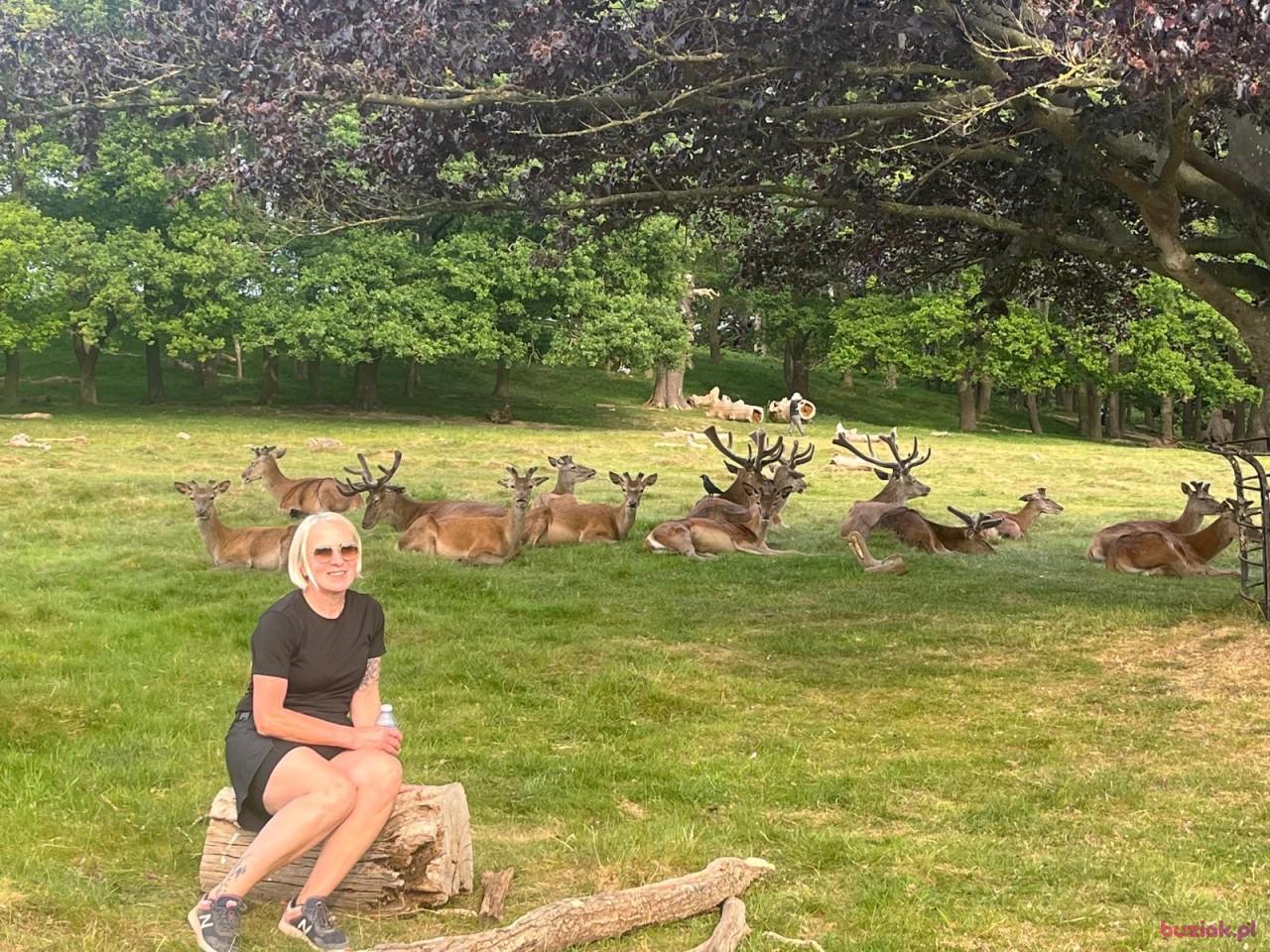 Lucyna, Female, 57, Wielka Brytania, Photo: 4