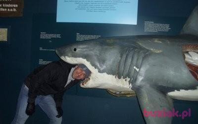 Marcin, Male, 47, Trzebiatów, Polska, Photo: 2