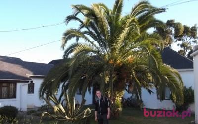 Rusek1014, Male, 38, Kwidzyn, Polska, Photo: 2