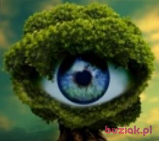 Mirek, Mężczyzna, 49, Lubin, Polska, Zdjęcie: 3