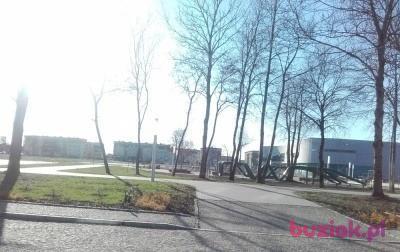 gemesza, Kobieta, 50, Polska, Zdjęcie: 5