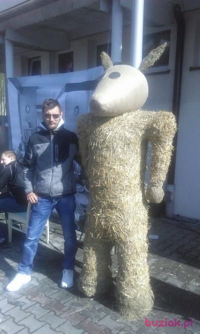 Przemek , Mężczyzna, 37, Jaworzno, Polska, Zdjęcie: 4