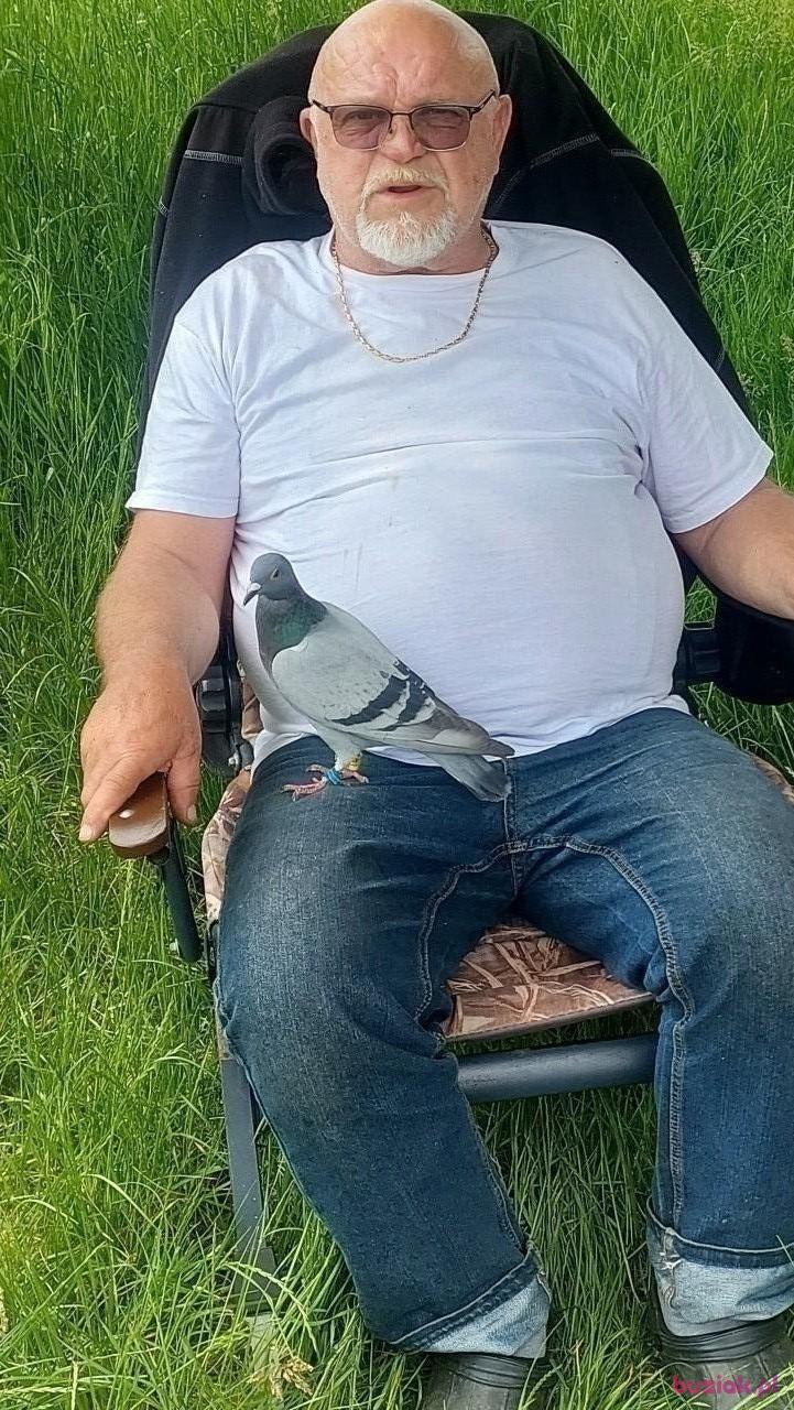 Andrzej, Mężczyzna, 68, Wrocław, Polska, Zdjęcie: 2